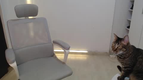 Snapshot of salome_010 chatting on 10-19-25, 03:34 Salome online show from 10-19-25, 03:34