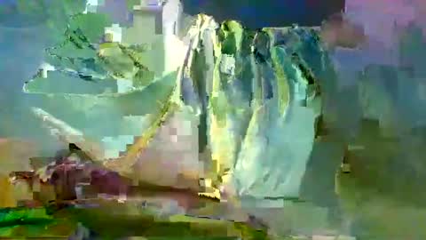 sam223382879 online show from 12-27-24, 10:59