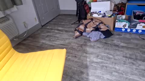 samboiamtho online show from 01-03-25, 06:11