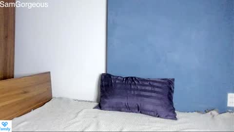 Snapshot of samgorgeous chatting on 12-03-24, 08:17 Fansly - Top4fans online show from 12-03-24, 08:17