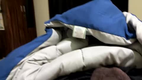 samnivin online show from 12-01-25, 07:19