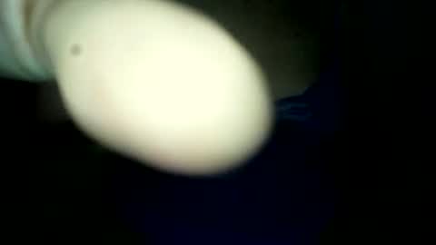 Snapshot of samuel_xlive287494 chatting on 06-20-26, 02:14 samuel_xlive287494 online show from 06-20-26, 02:14