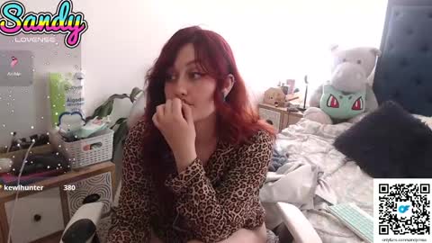 Sandy Prinss online show from 01-26-25, 06:06