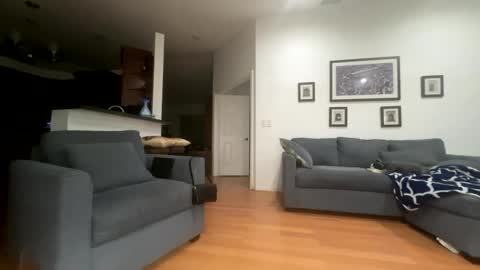 Santana online show from 02-21-26, 06:03