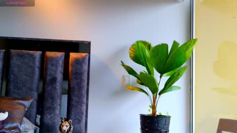 Santiago Seans online show from 02-12-26, 01:28