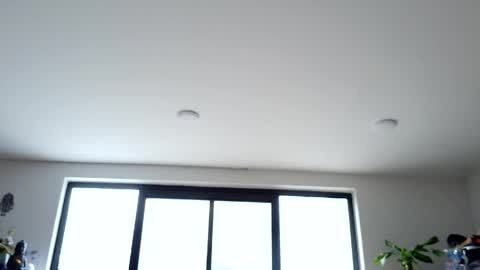 Snapshot of sapphire_mei866 chatting on 05-14-26, 07:42 safir online show from 05-14-26, 07:42