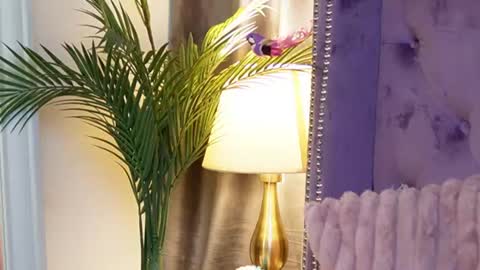 Snapshot of saraiangel chatting on 07-14-26, 03:55 Sarai online show from 07-14-26, 03:55