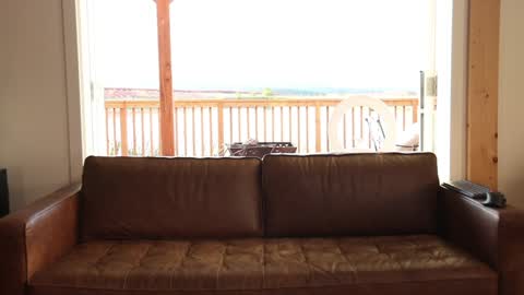 Back from Vacay  Follow for more here  online show from 10-31-25, 12:22