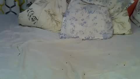 Sarah online show from 01-09-26, 04:48