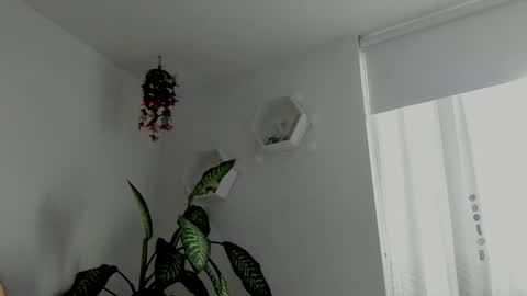 Saray  online show from 02-06-26, 10:46