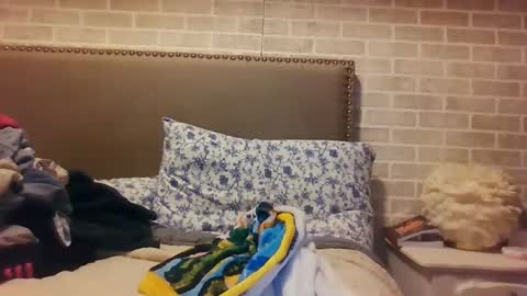 Snapshot of saretta46 chatting on 12-15-24, 12:07 Sara online show from 12-15-24, 12:07