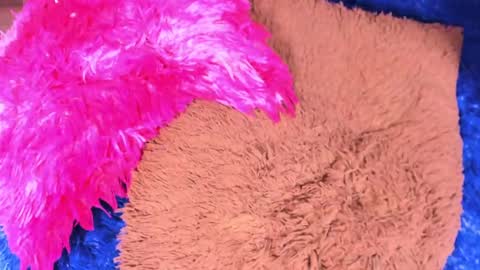 Sary  online show from 04-13-26, 11:27
