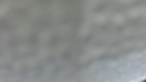 sassygirl_elliexx online show from 06-15-26, 06:48