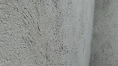 sassygurllll online show from 12-17-24, 12:43