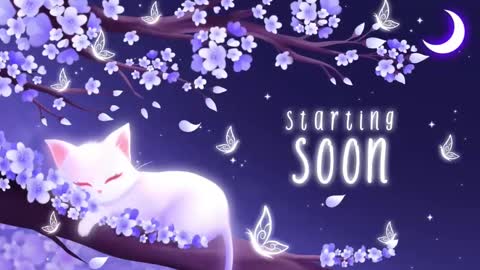 Sassy Sami Kittyn online show from 03-03-25, 06:59