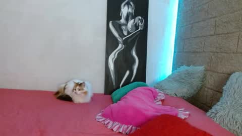 Sativa online show from 12-13-24, 04:05