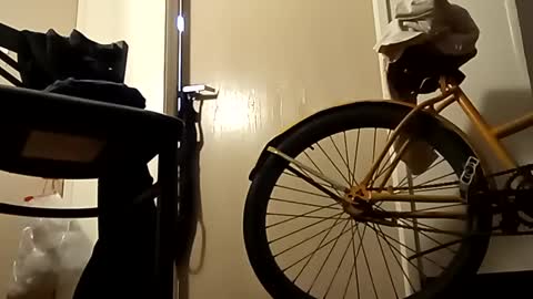 Snapshot of saucybear666 chatting on 01-02-25, 10:58 SnowBunny online show from 01-02-25, 10:58