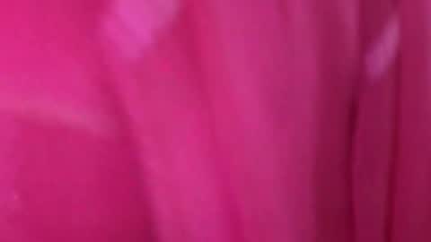 Anjali online show from 03-11-26, 05:02