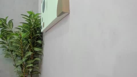 Scarlett 3 online show from 12-02-25, 03:12