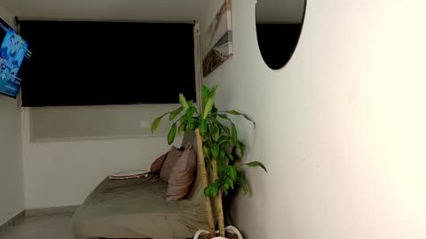 Snapshot of scartross_ chatting on 05-29-26, 03:37 Ross online show from 05-29-26, 03:37