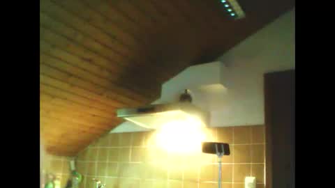 schnibschnab online show from 02-26-26, 02:54