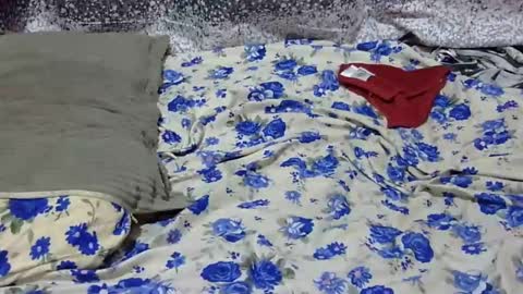 Its Lilly online show from 01-25-25, 03:09