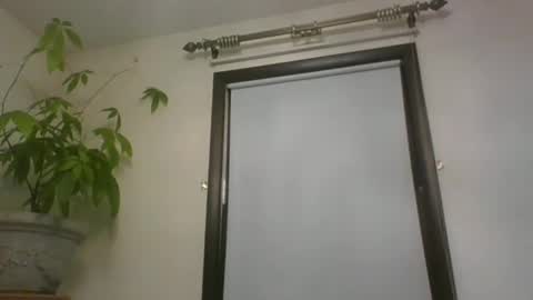 scottpbi52 online show from 12-22-24, 12:16