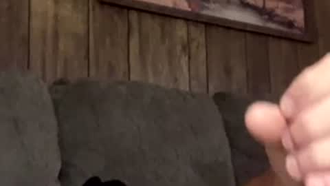 scottpolars online show from 04-19-26, 04:17