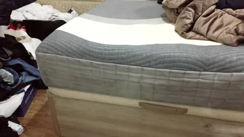 Snapshot of scubi007 chatting on 11-02-25, 10:12 scubi007 online show from 11-02-25, 10:12