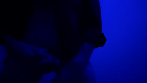 Snapshot of seanlydo chatting on 10-13-25, 05:40 SeanWadGodDamn online show from 10-13-25, 05:40