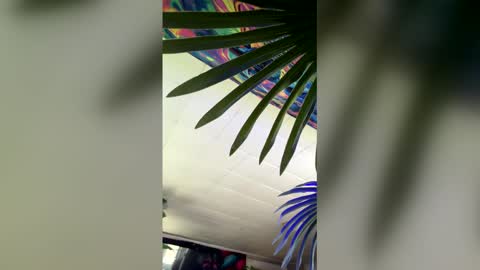 seanplushouse online show from 02-28-26, 07:48