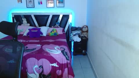 Snapshot of sebasxxl12 chatting on 02-26-26, 10:31 Sebas online show from 02-26-26, 10:31