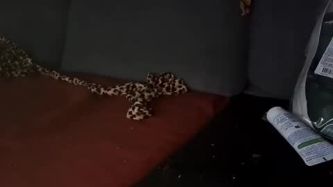 Julian Kinky Bi-guy online show from 03-28-26, 09:53