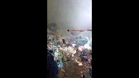 senor49509 online show from 01-25-25, 03:51