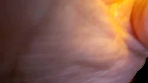 senor49509 online show from 11-27-25, 02:02