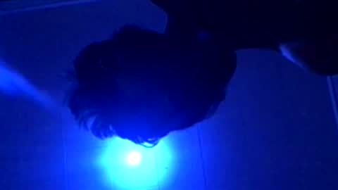 senseisalami online show from 11-27-25, 09:22