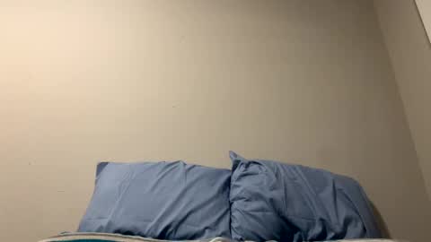 Snapshot of sethbear8963 chatting on 12-31-24, 01:47 SethBear online show from 12-31-24, 01:47