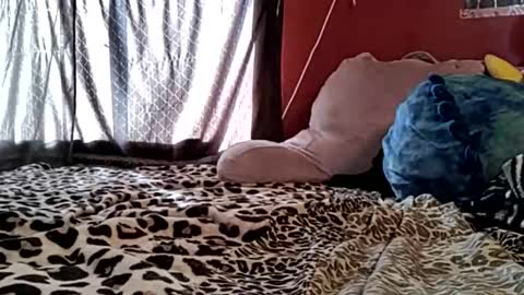 sexiwhiskey699 online show from 02-21-26, 10:33