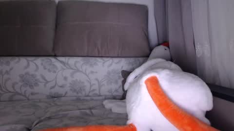 Snapshot of sexsy_bunny chatting on 10-01-25, 05:13 See you on October going to miss you guys incredibly. Subscribe to my Onlyfans Channel to follow the news online show from 10-01-25, 05:13