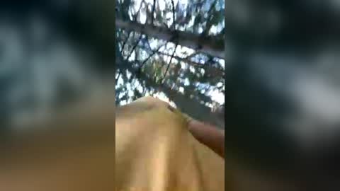 sexualman1900 online show from 06-27-26, 03:50