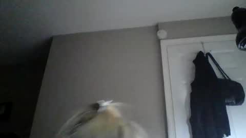 sexxiibossbabe online show from 12-19-25, 07:32