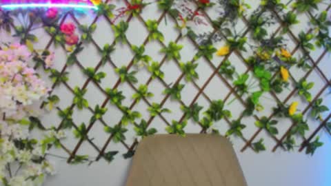 Lily online show from 03-26-26, 03:56