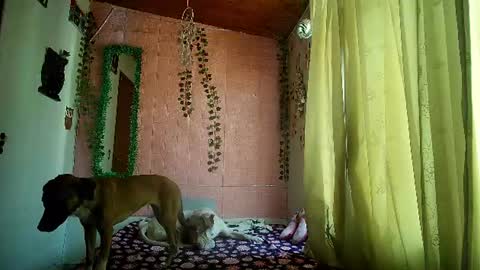 Snapshot of sexy_lolas chatting on 07-17-26, 08:46 sexy lolas online show from 07-17-26, 08:46