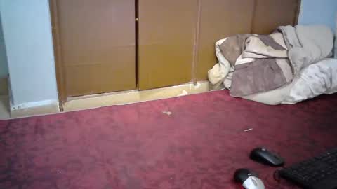 Snapshot of sexy_lunah chatting on 12-19-24, 02:57 sexy_lunah online show from 12-19-24, 02:57