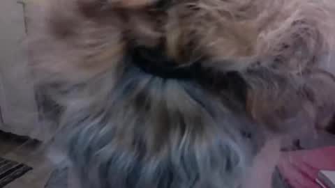 SexyFit58 online show from 12-15-24, 01:57