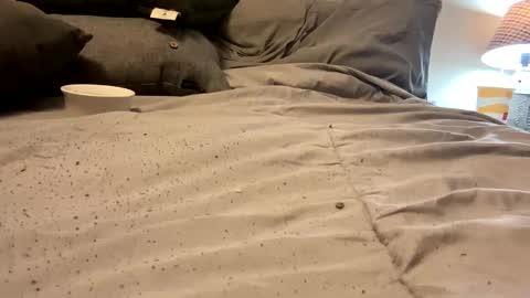 FunCpl4u online show from 03-11-25, 09:15