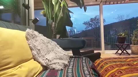 sexylover81ch online show from 04-12-26, 06:13