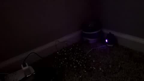 Sugar Brown online show from 03-04-26, 03:18