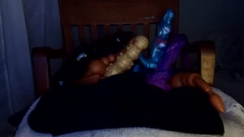 shakespeareisahomie online show from 02-19-26, 02:40