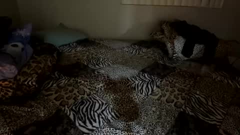 Shaman Woman online show from 12-06-24, 02:57